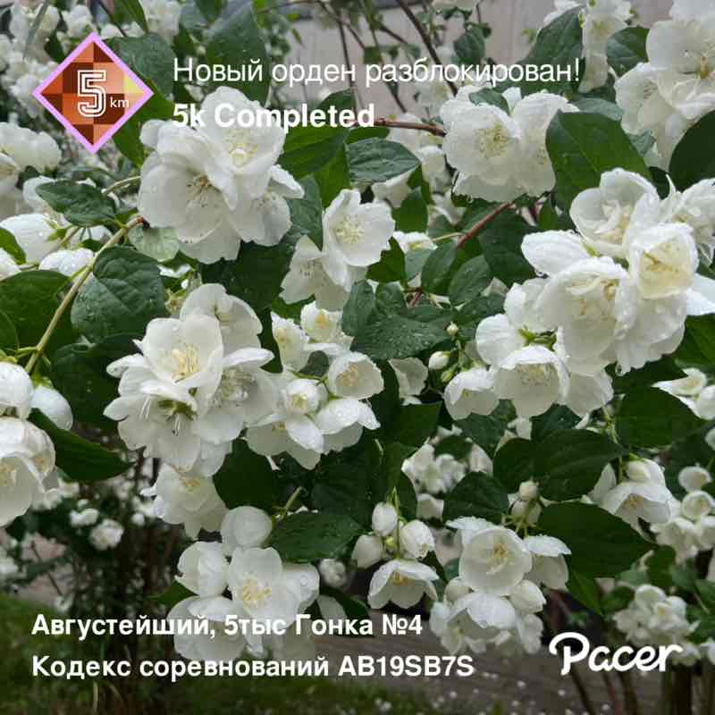 Natalya ❤️🐯 post 1