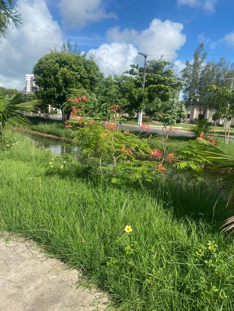 walking near me in Praça do Sol Nascente in summer