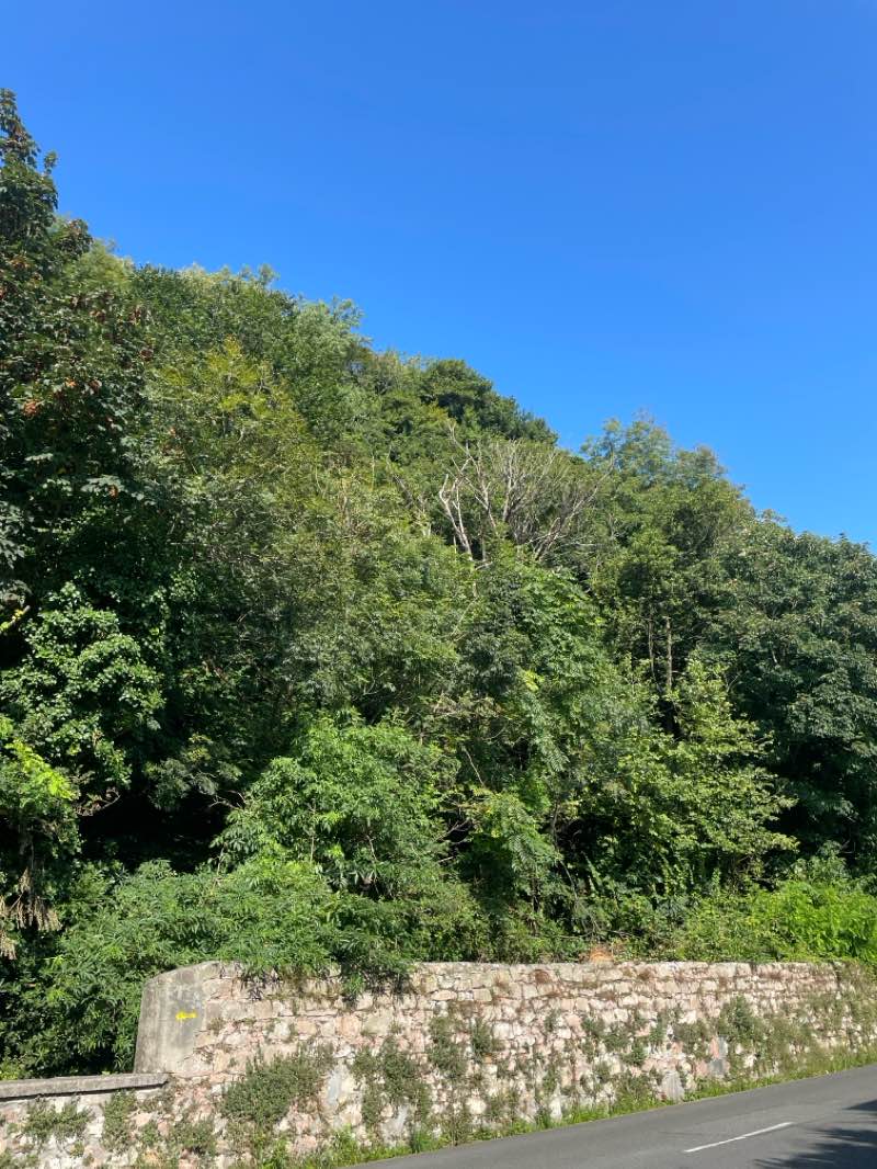 walking near me in Ondarreta parkea / Parque de Ondarreta in winter