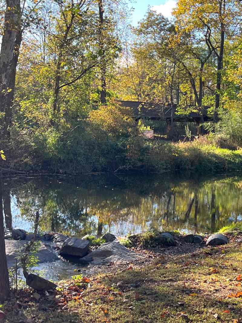 walking near me in Smith Road Park in autumn