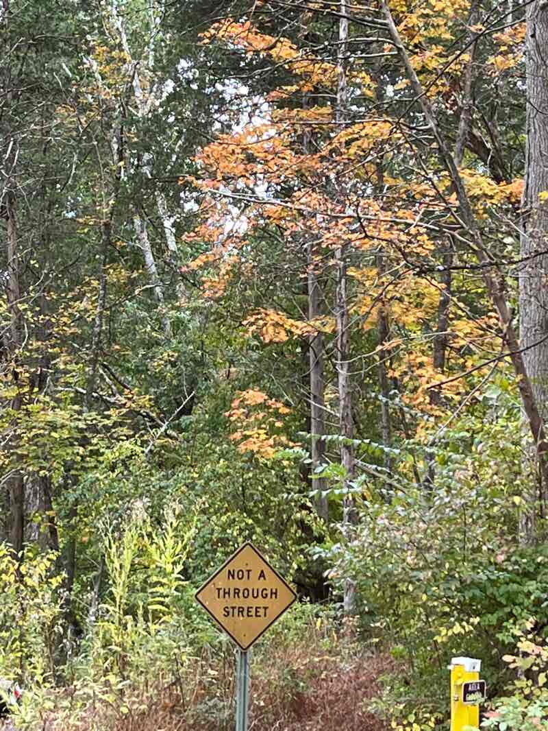 walking near me in Sunrise Mill in autumn