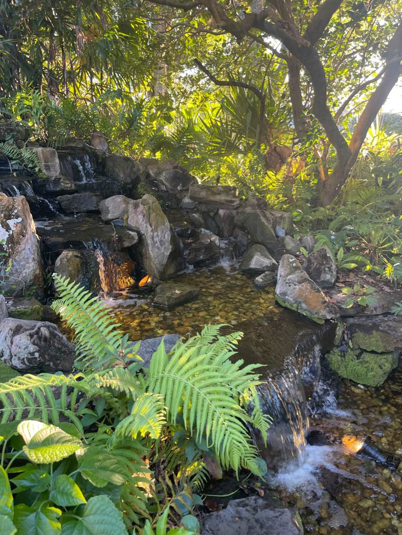 walking near me in Maplewood Park in winter