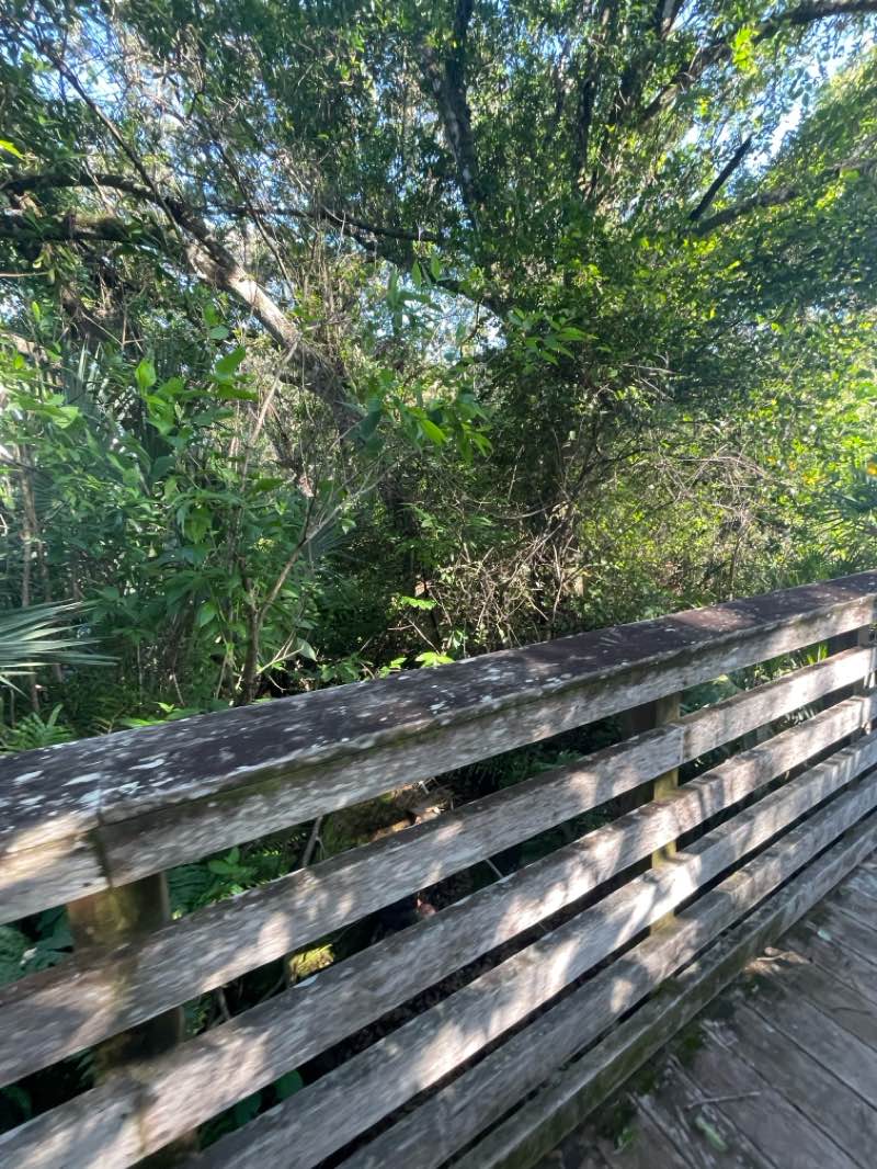 walking near me in Limestone Creek Nature Reserve in spring