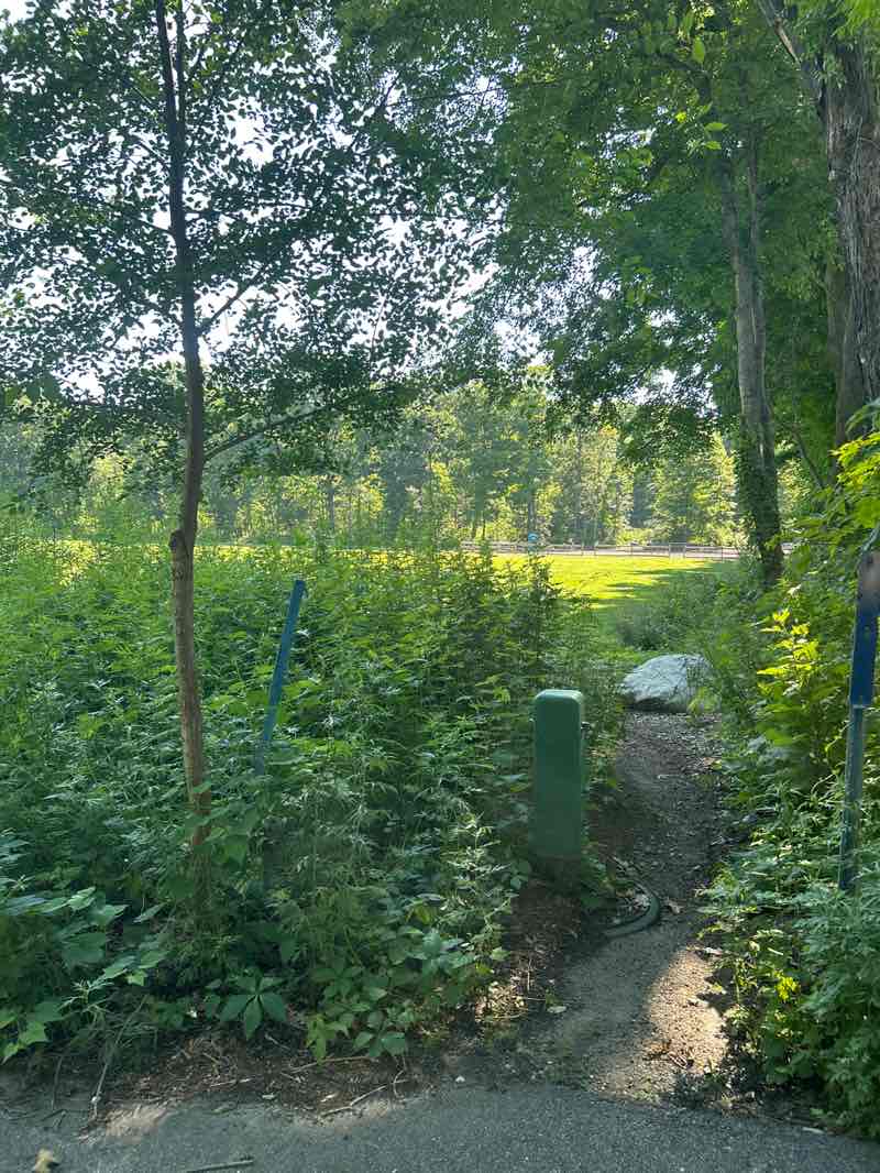 walking near me in Hunterbrook Field in summer