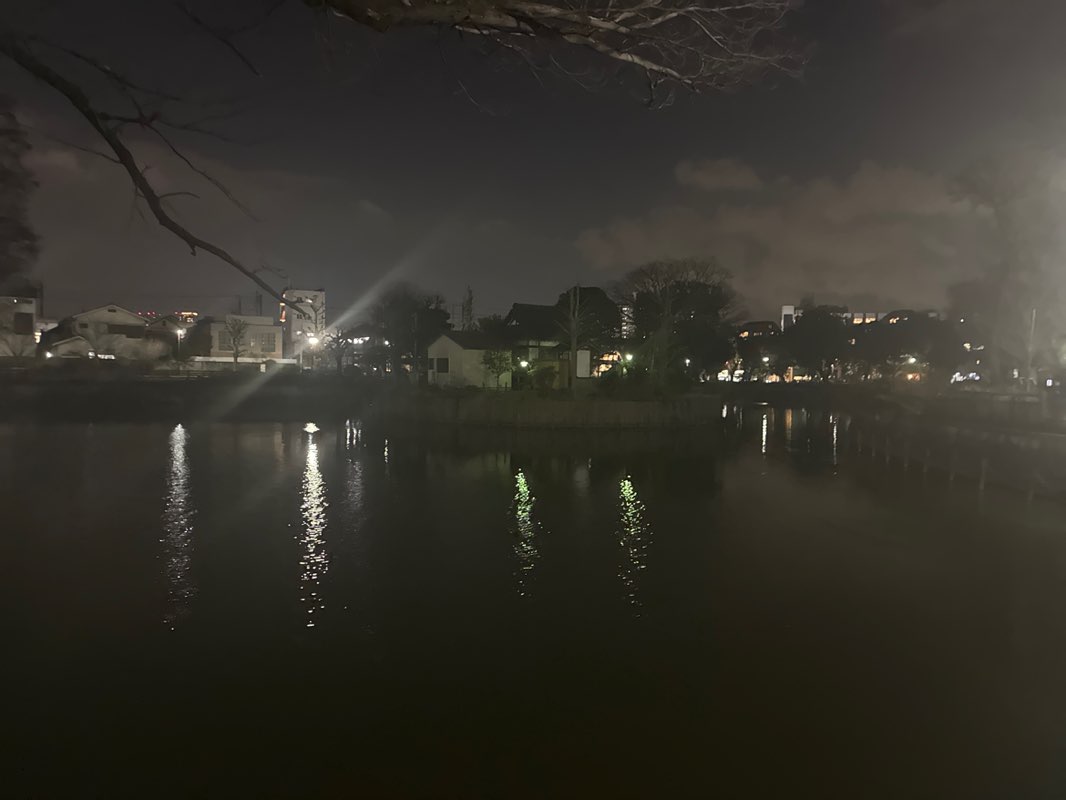 walking near me in 碑文谷公園 in spring