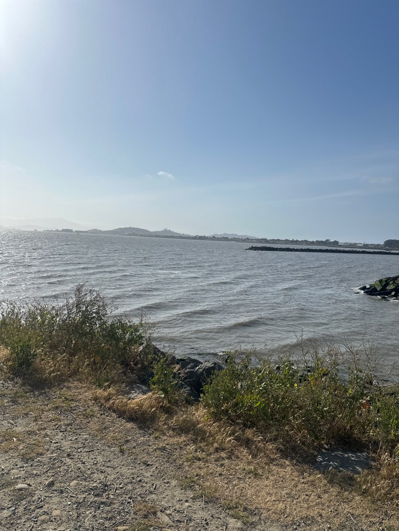 walking near me in North Point Isabel in spring