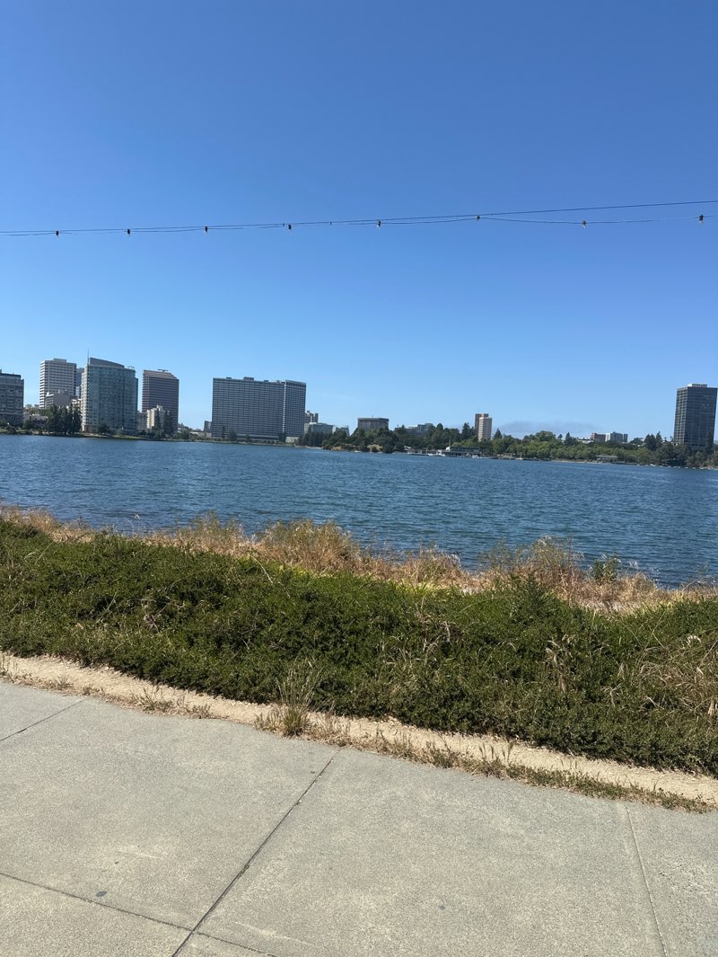 walking near me in Athol Plaza in spring