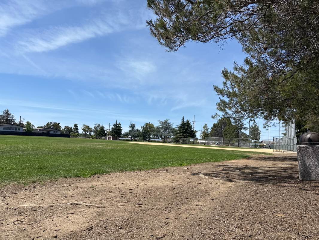 walking near me in Raynor Park in spring