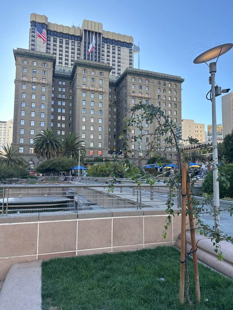 walking near me in Union Square in autumn