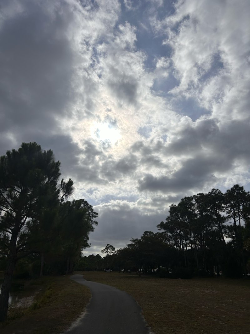 walking near me in River Bridge park in spring