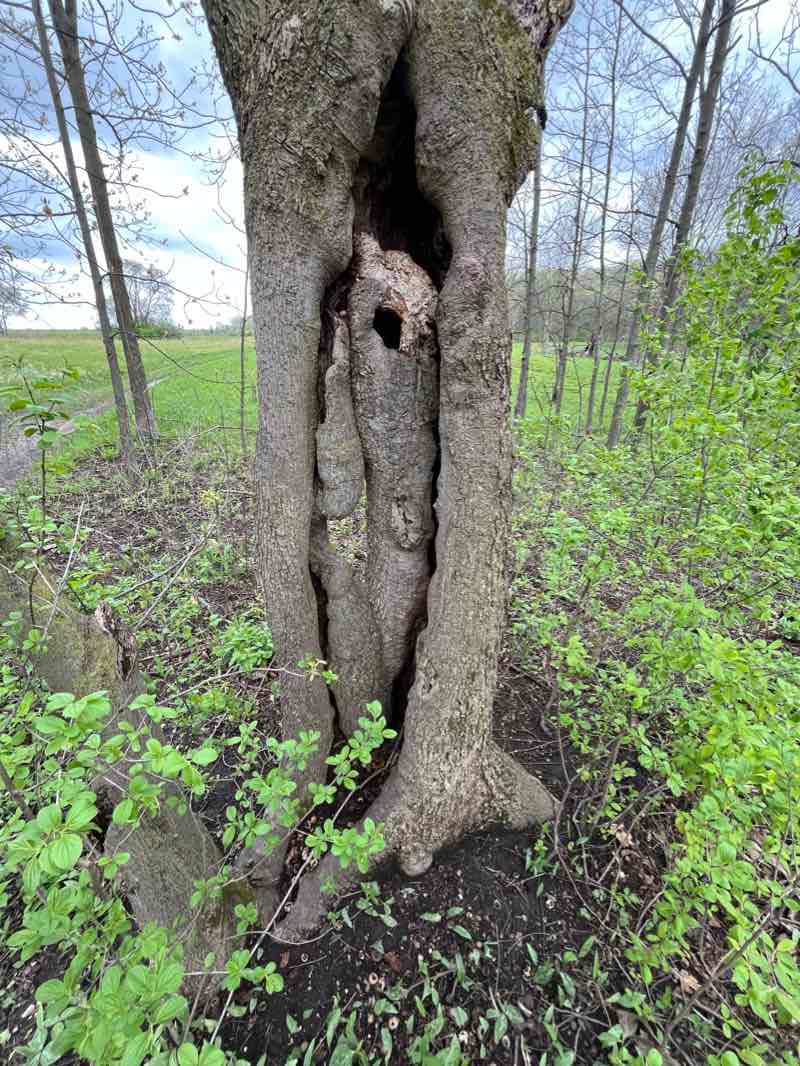 walking near me in James O. Breen Community Park in winter