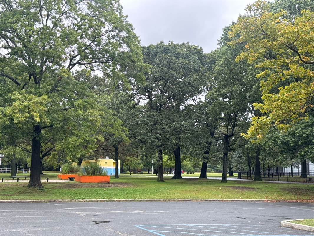 walking near me in Cantiague Park in autumn