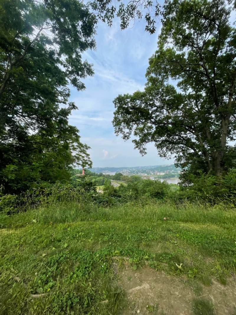 walking near me in Eden Park in summer