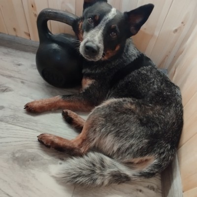 ДВИЖЕНИЕ ✨🤗🏃‍♂️🏃‍♀️🤸‍♂️🤸 Владислав🦝🪢😶‍🌫️🧭🤠✌️ post image