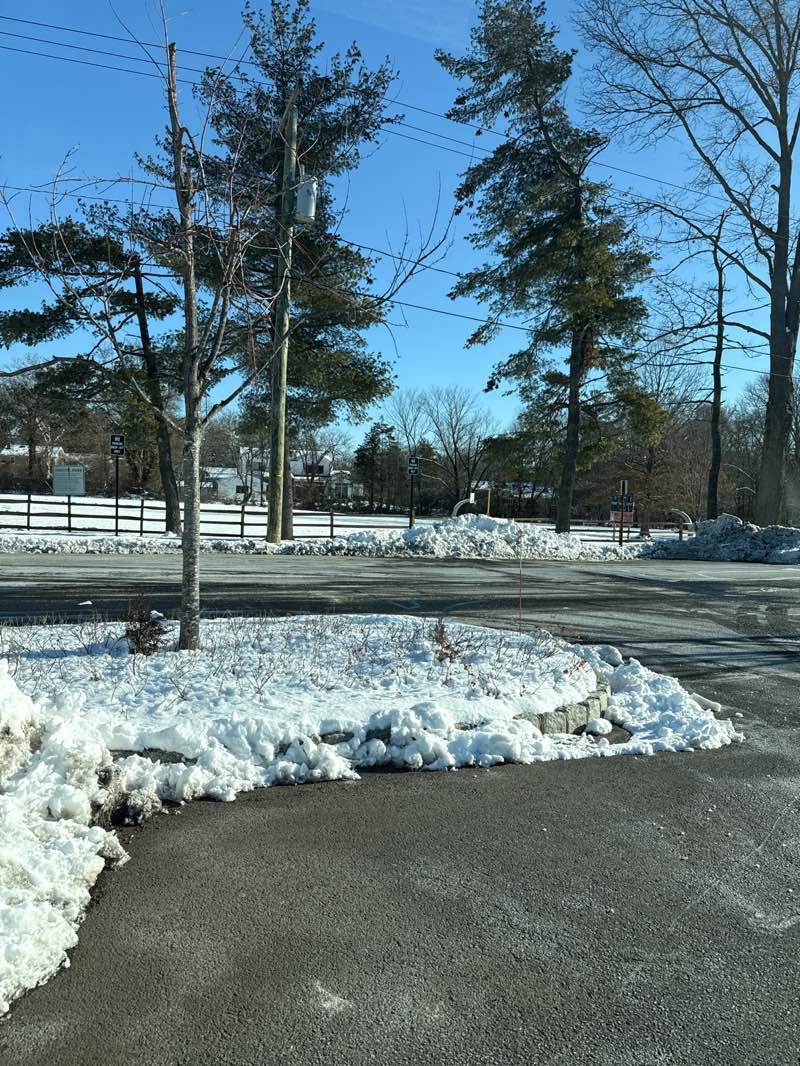 walking near me in Grover Park in winter
