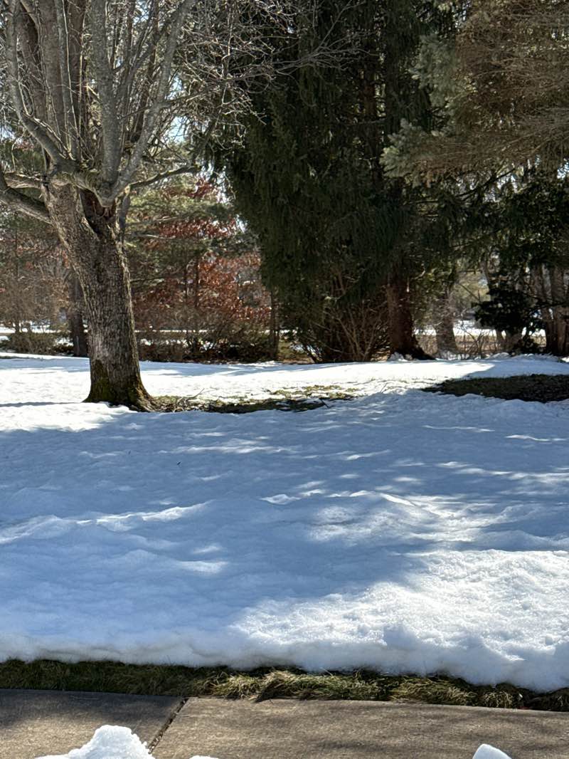 walking near me in Rohill Playground in spring