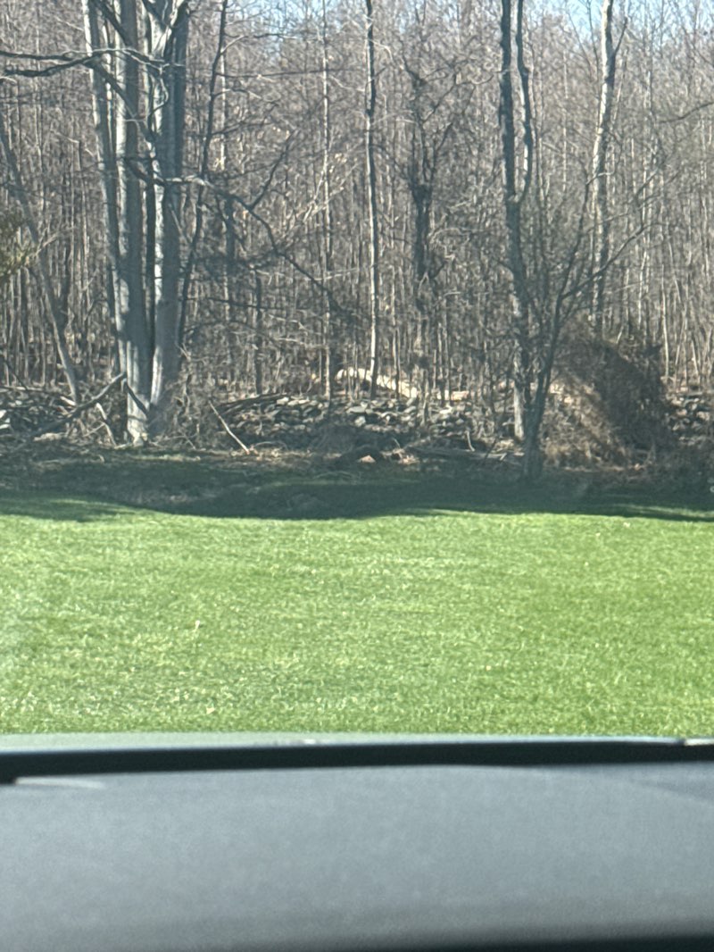 walking near me in State Game Lands Number 186 in spring