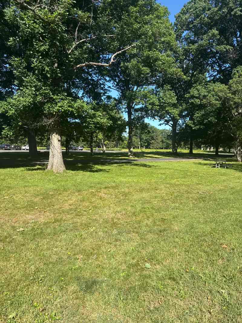 walking near me in Washington Crossing Historic Park in summer