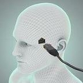 The Data Master profile