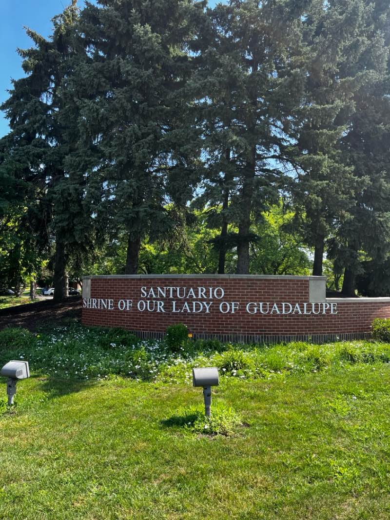walking near me in Algonquin Woods in summer