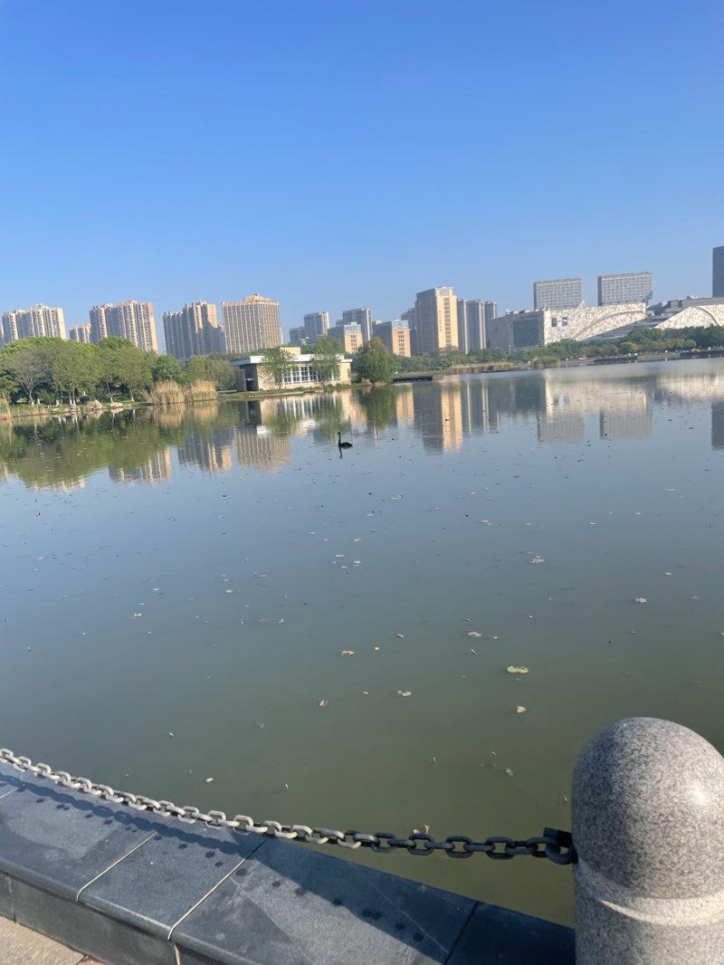 walking near me in 莲花湖公园 in winter