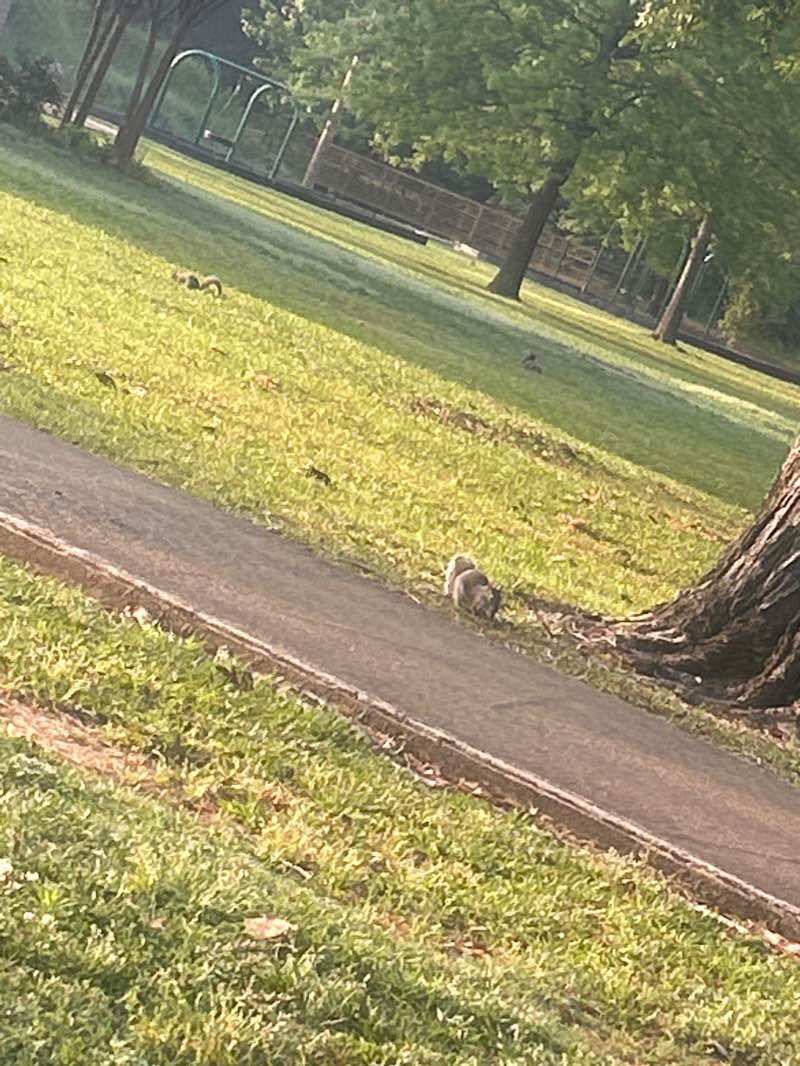 walking near me in Noble Park in winter