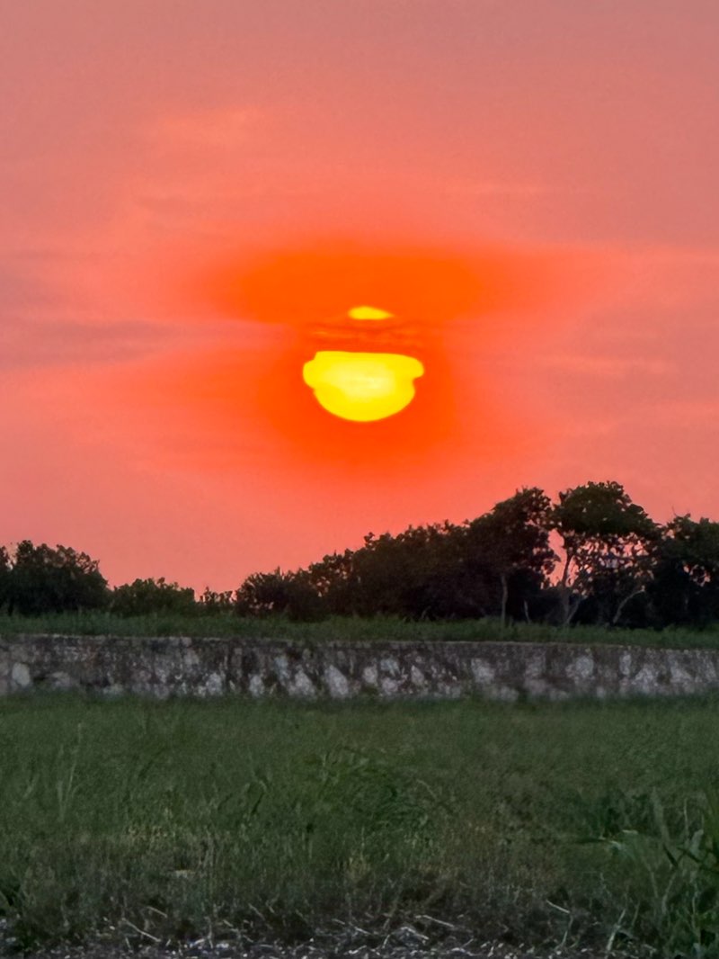 walking near me in Patriot Estates Park in summer