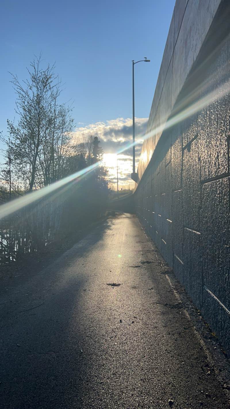 walking near me in Minnesota Park in winter