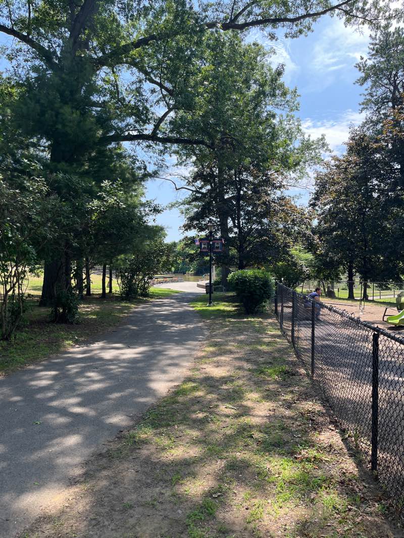 walking near me in Cook Park in summer