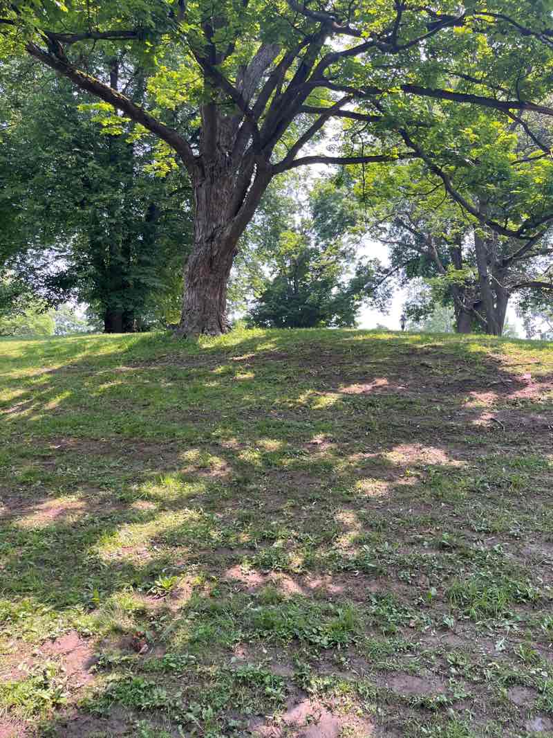 walking near me in Washington Park in summer