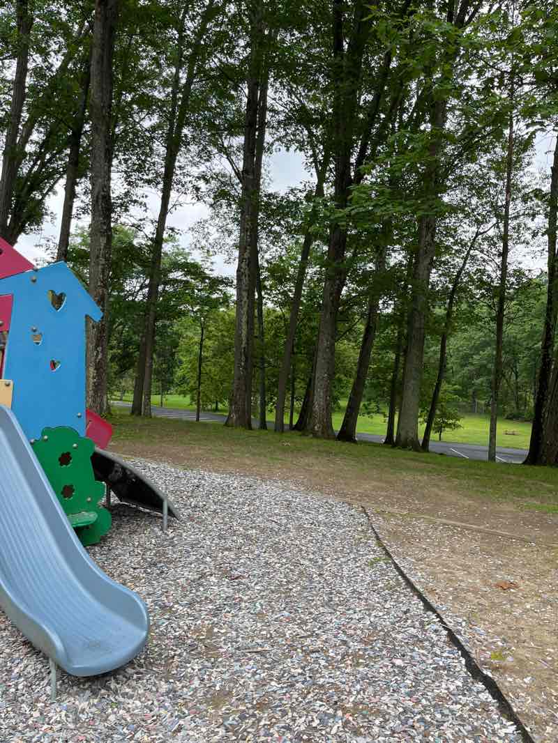 walking near me in Tawasentha Park in summer