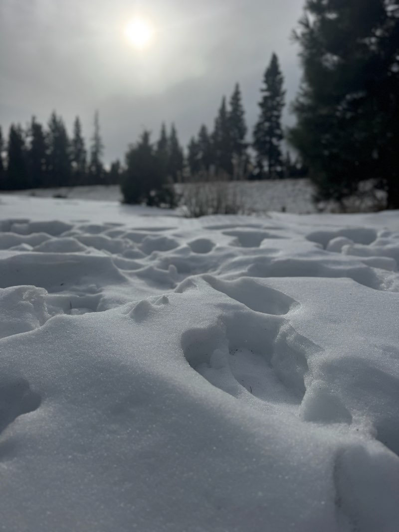 walking near me in 64-Acres Park in winter
