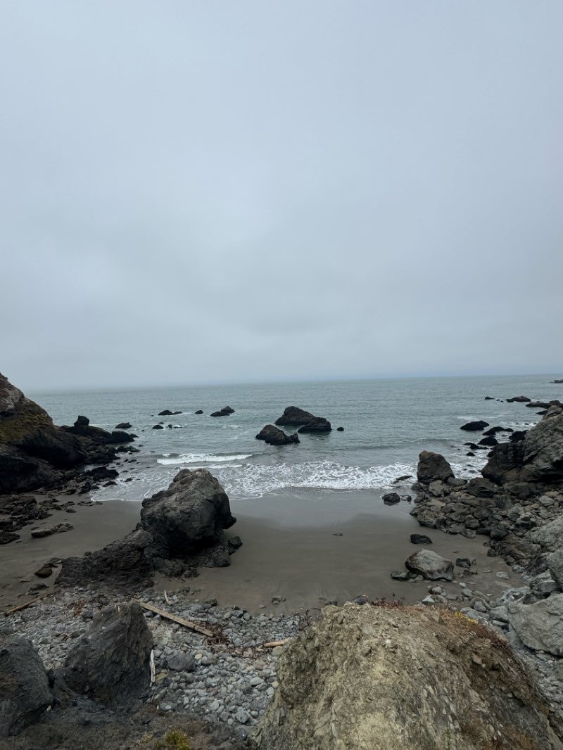 walking near me in Muir Beach (GGNRA) in summer