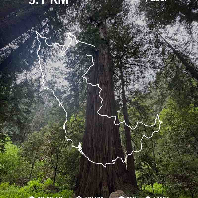 Estefanya Ugalde post 1