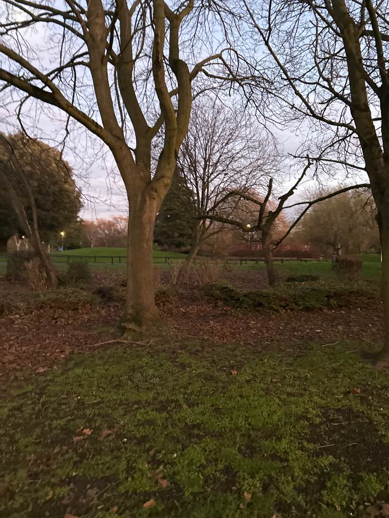 walking near me in Longford Park in winter