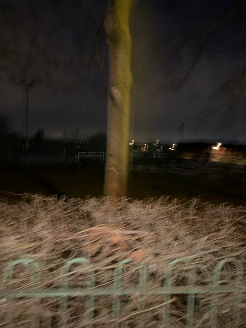 walking near me in Red House Park in winter