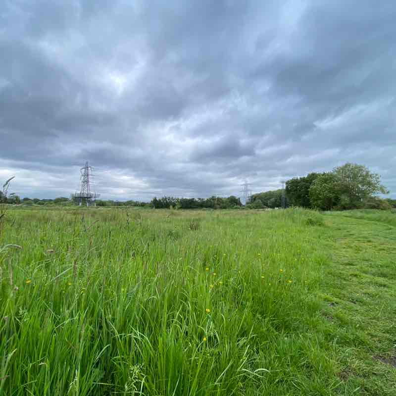 Step Up for Mental Health Louisa post image