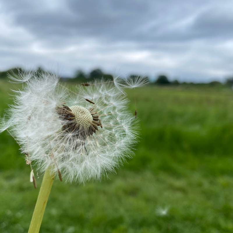 Step Up for Mental Health Louisa post image