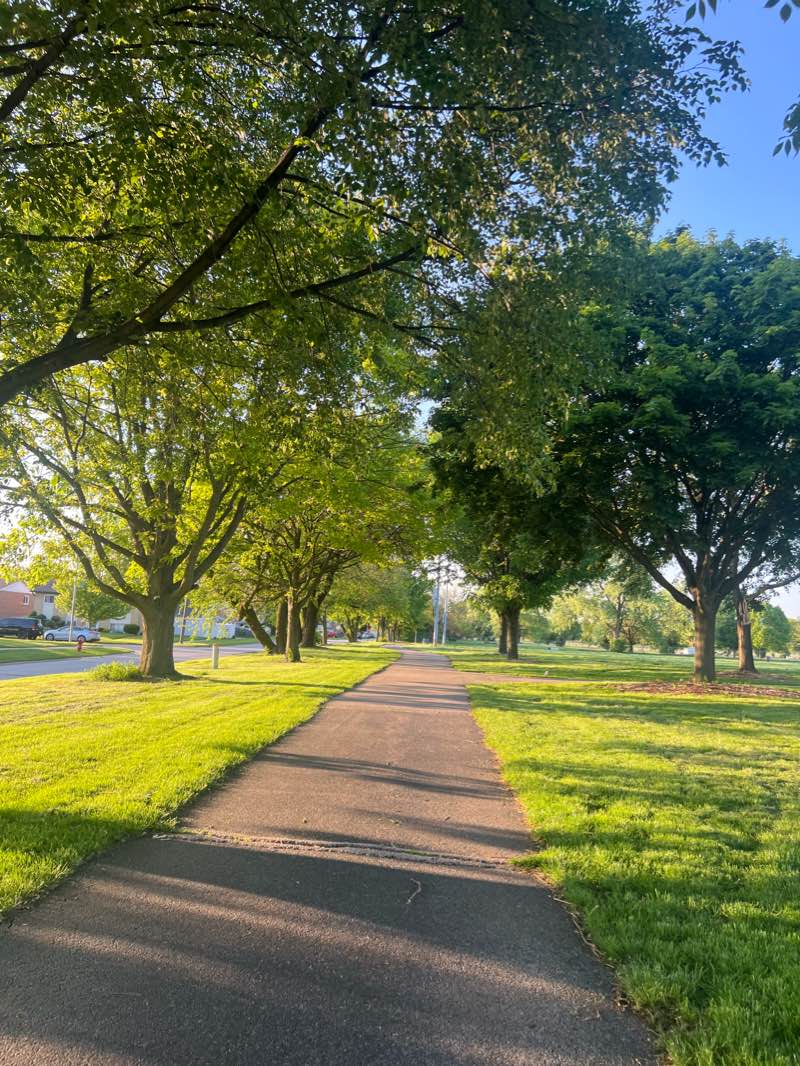 walking near me in Commissioners Park in winter
