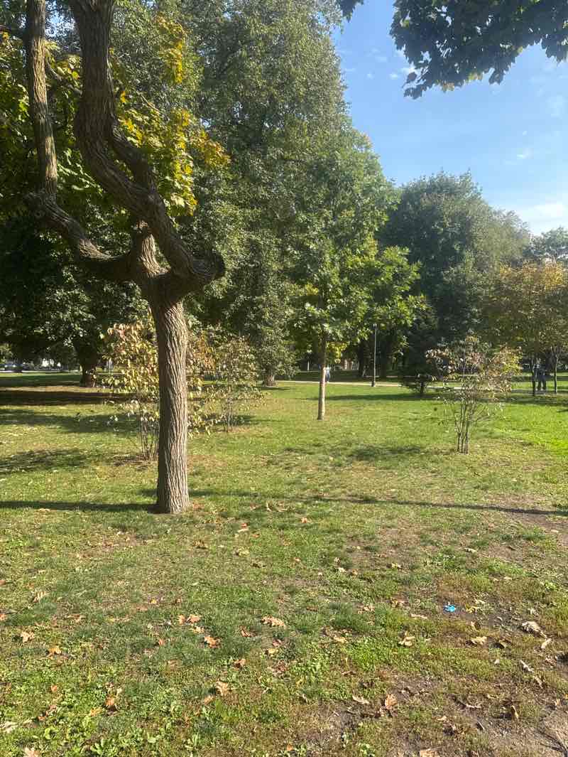 walking near me in Queen's Park (North) in autumn