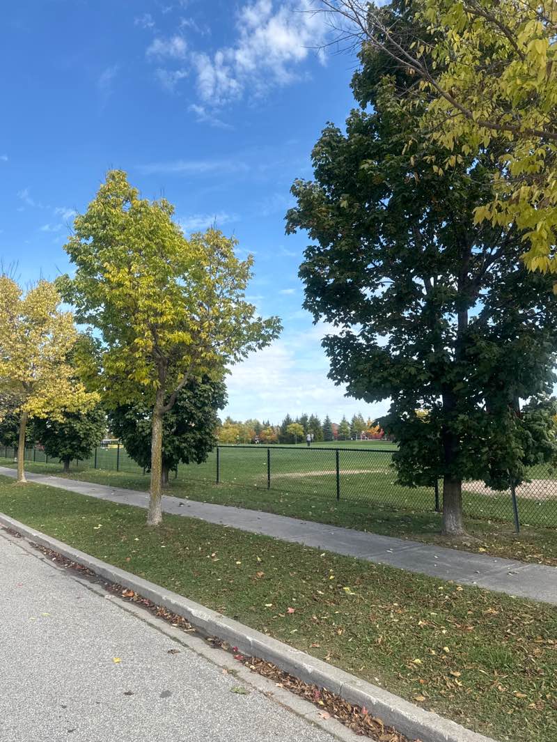 walking near me in Henry White Park in autumn