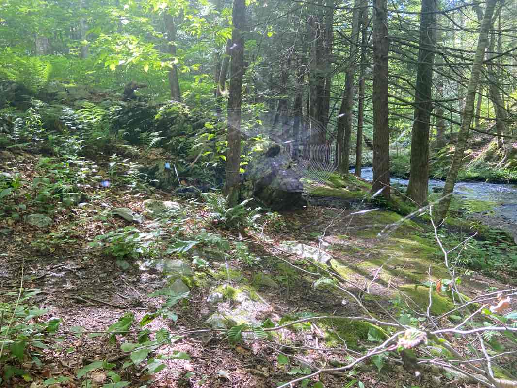 walking near me in Sperry Park in winter