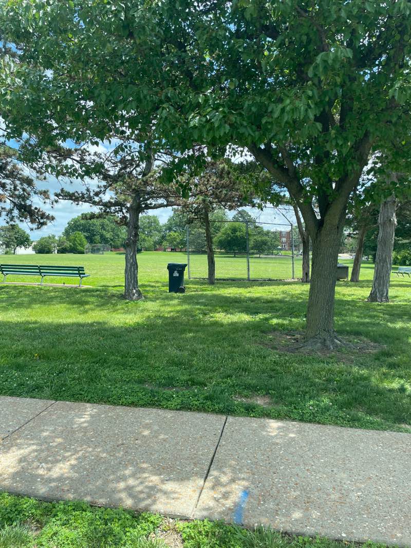 walking near me in Metcalfe Park in summer