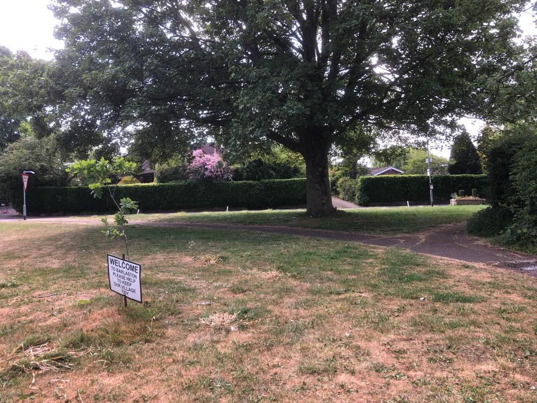 walking near me in Alderflat in spring