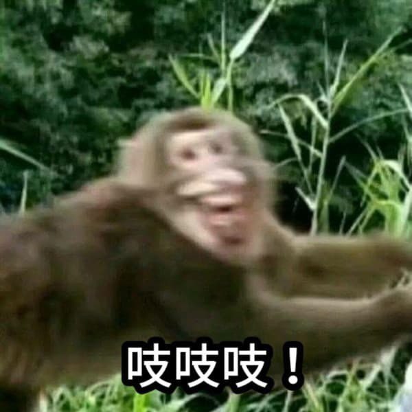 商品部 鄭莉聆 profile