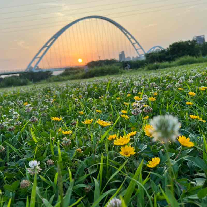 商品部 柏翔 post 3