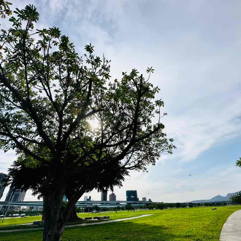 商品部-廖姿閔 post 2