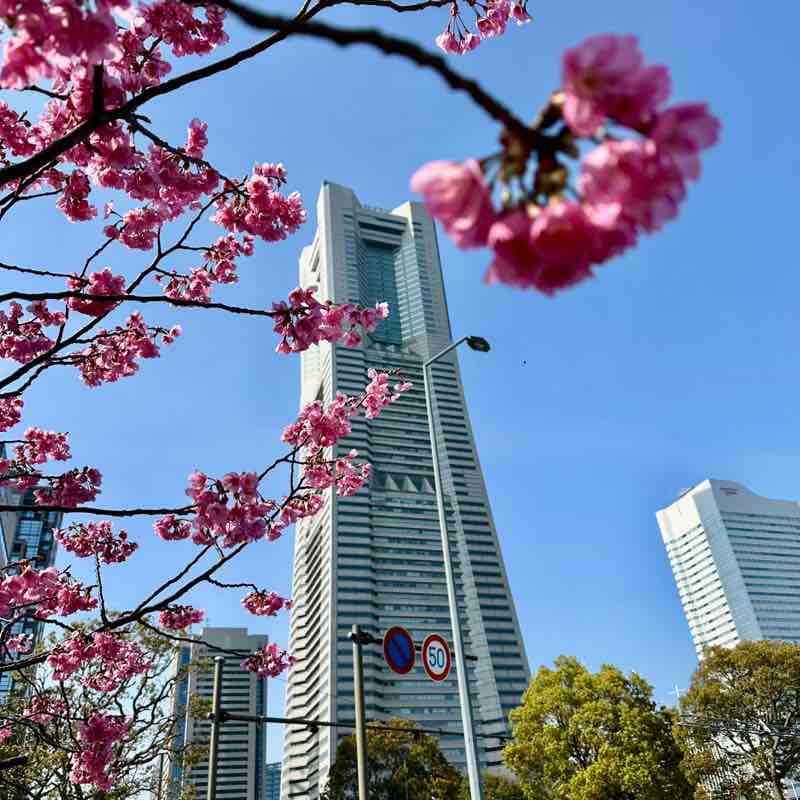 GBO team Natasha post image