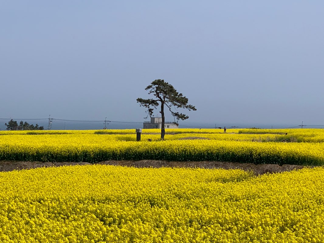 기획x기발한x권순직