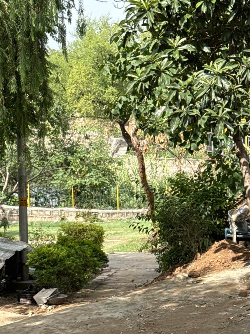 walking near me in Park and Walking Track in spring